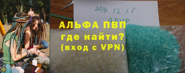 ГАЛЛЮЦИНОГЕННЫЕ ГРИБЫ Богданович